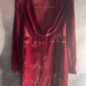 Express Burgundy Dress